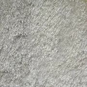 Imagem 4 — Delhi