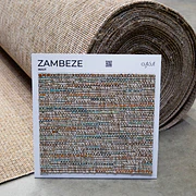 Imagem 3 — Zambeze