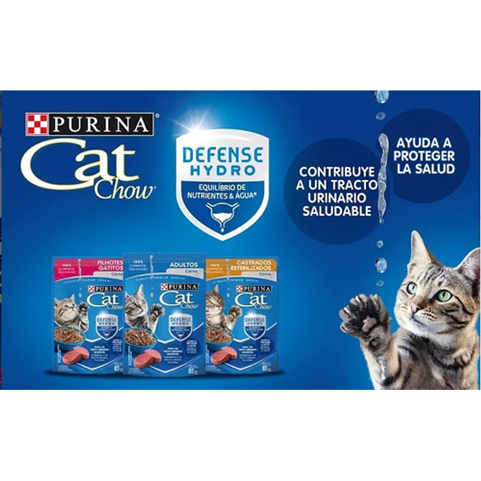 Pack 15 Cat Chow Adultos Carne 85 Gr- Comida Para Gato 2