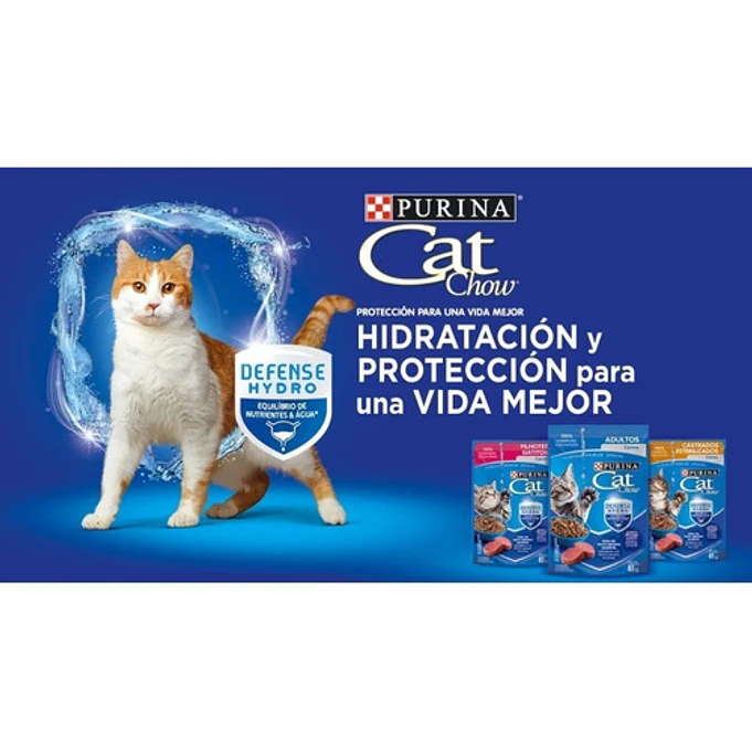 Pack 15 Cat Chow Adultos Carne 85 Gr- Comida Para Gato 3