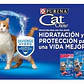 Pack 15 Cat Chow Adultos Carne 85 Gr- Comida Para Gato - Miniatura 3