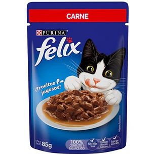 Sachet Felix Sensación Carne Salsa 15 Unidades