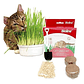 Juguete Gato Cat Grass Hierba Gatera Catnip Pasto Bioline - Miniatura 1