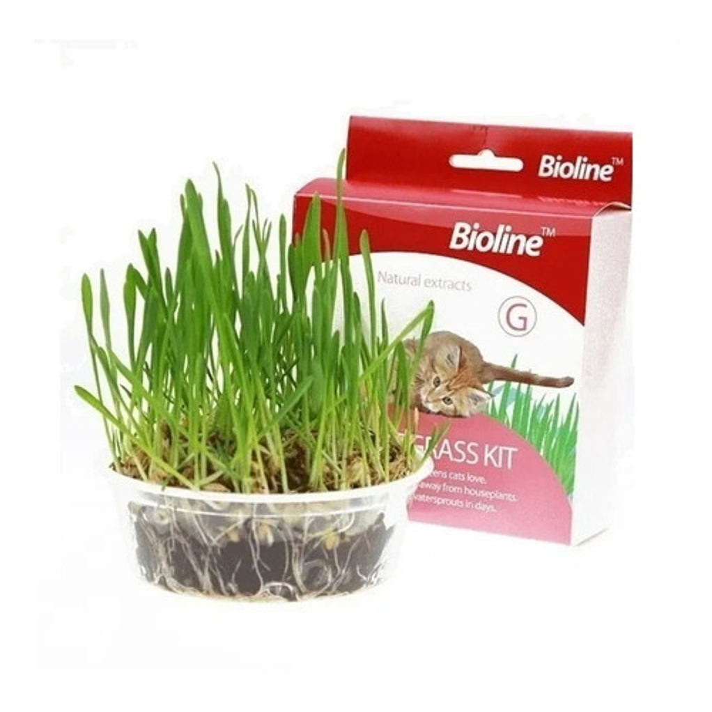 Juguete Gato Cat Grass Hierba Gatera Catnip Pasto Bioline 2