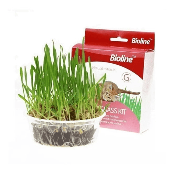 Juguete Gato Cat Grass Hierba Gatera Catnip Pasto Bioline 2