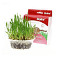 Juguete Gato Cat Grass Hierba Gatera Catnip Pasto Bioline - Miniatura 2