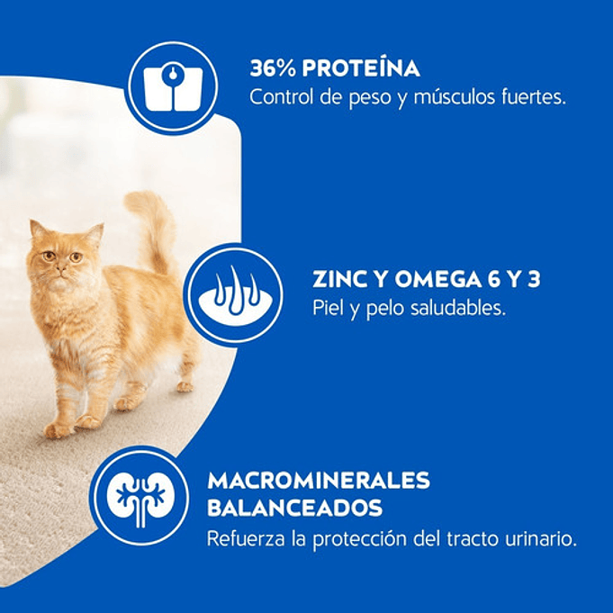 Alimento Para Gato Cat Chow® Esterilizados® 3kg 4