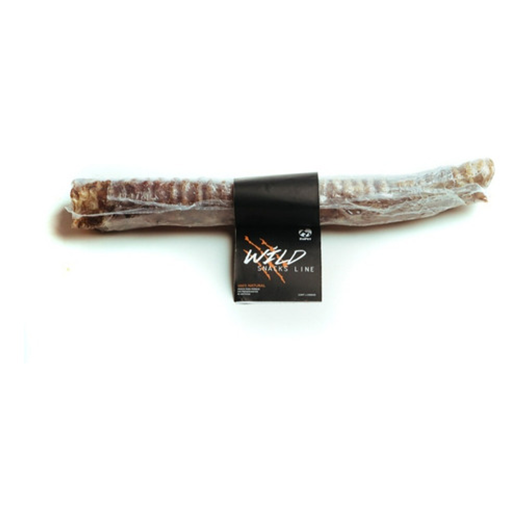 Tráquea Larga Wild - Snack Para Perros 100% Natural- 30cm 1
