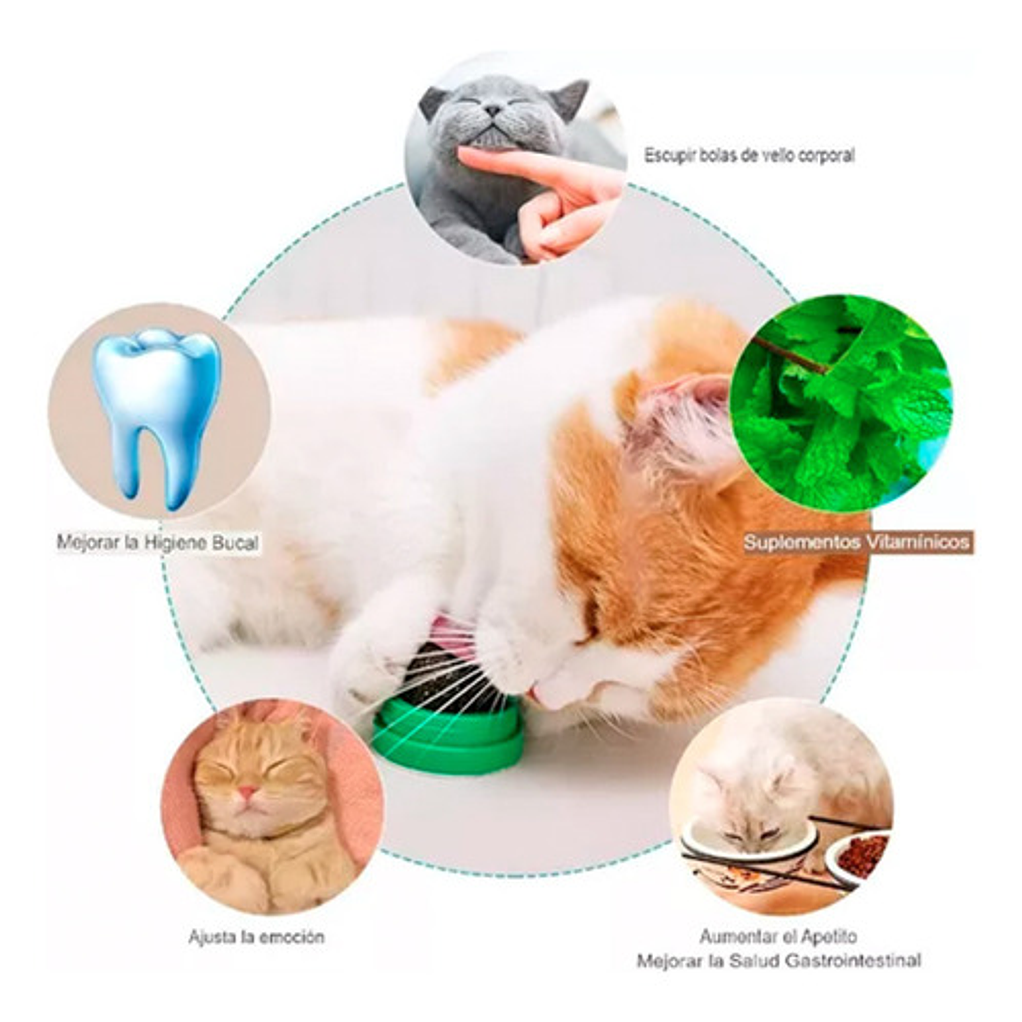 Bola De Hierba Gatera Giratoria Para Gatos 5