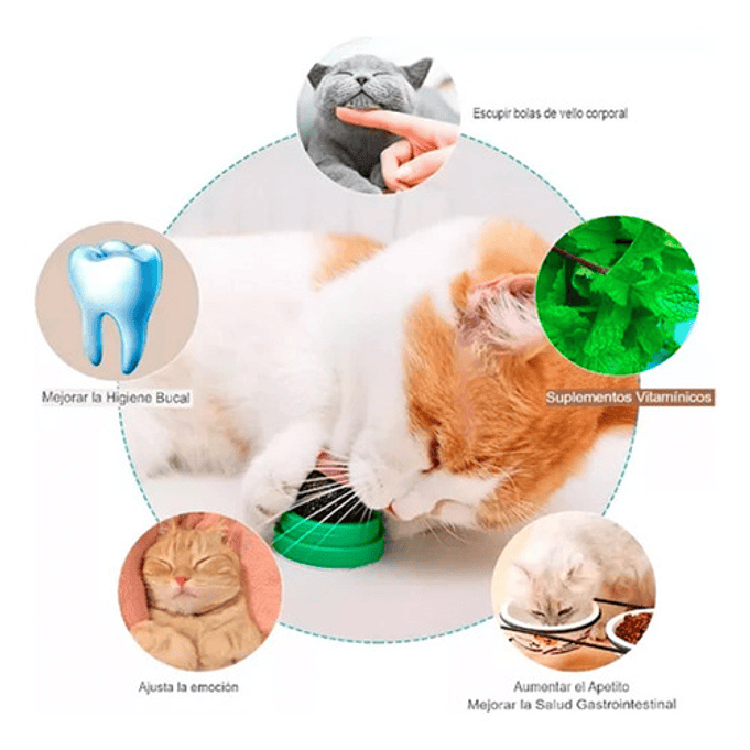 Bola De Hierba Gatera Giratoria Para Gatos 5