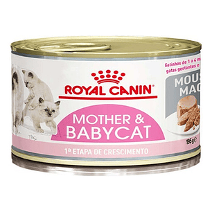 6 Latas Mother And Baby Cat Royal Canin 145gr