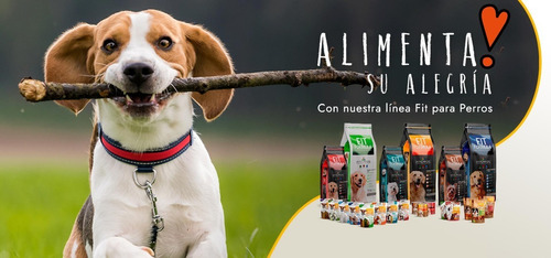 Fit Formula Alimento Perro Adulto Raza Mediana Y Grande 20k 3