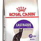 Alimento Royal Canin Para Gato Adulto Castrado- Esterilizados Sabor Mix En Bolsa De 4kg - Miniatura 1