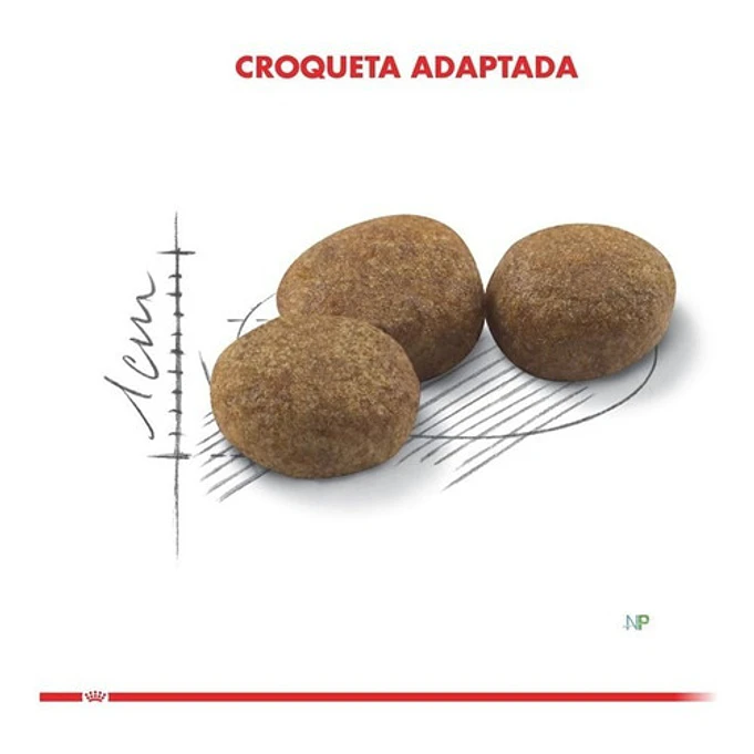 Alimento Royal Canin Para Gato Adulto Castrado- Esterilizados Sabor Mix En Bolsa De 4kg 3