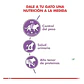 Alimento Royal Canin Para Gato Adulto Castrado- Esterilizados Sabor Mix En Bolsa De 4kg - Miniatura 4