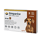 Simparica 20mg por 3 comprimidos para perro 5 kg a 10 kg - Miniatura 2