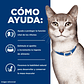 Alimento Hills Kidney Care para Gato K/D 1.8 Kg - Miniatura 4