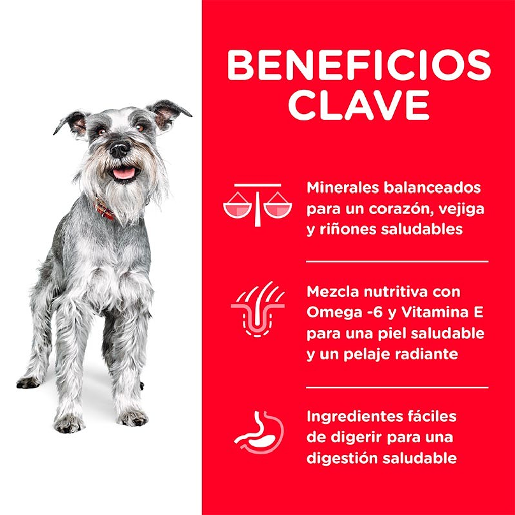 Alimento para Perros Adultos Senior 7+ Raza Pequeña Hills 2kg 3