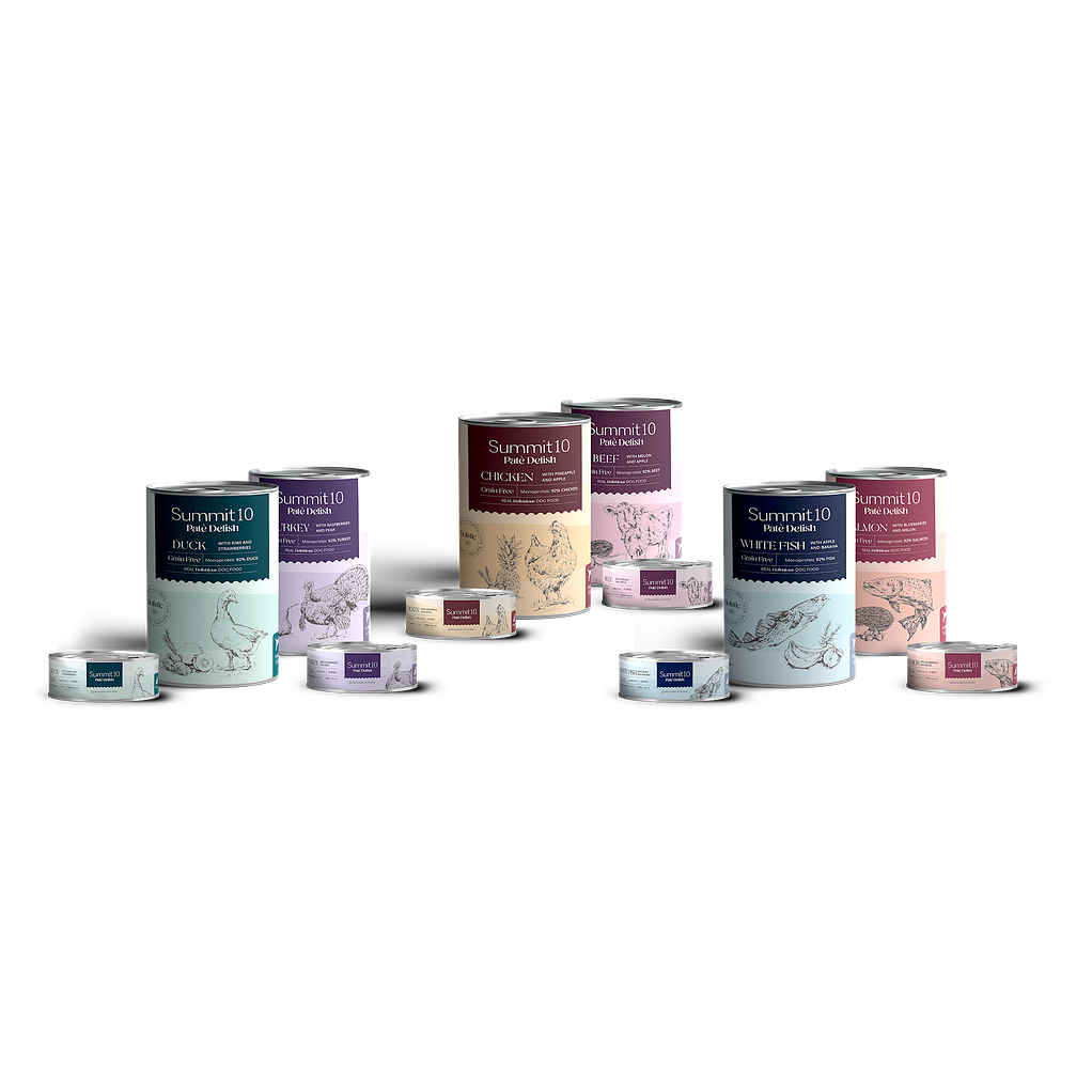 Alimento Summit 10 para Gato de Salmon en Lata de 85gr 2