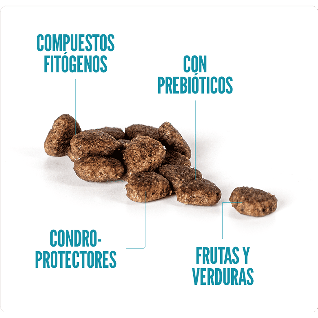 Summit 10 Alimento para Gato Adulto Pollo Pescado Arroz 3kg Hairball 2