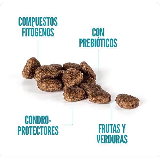 Summit 10 Alimento para Gato Adulto Pollo Pescado Arroz 3kg Hairball 2