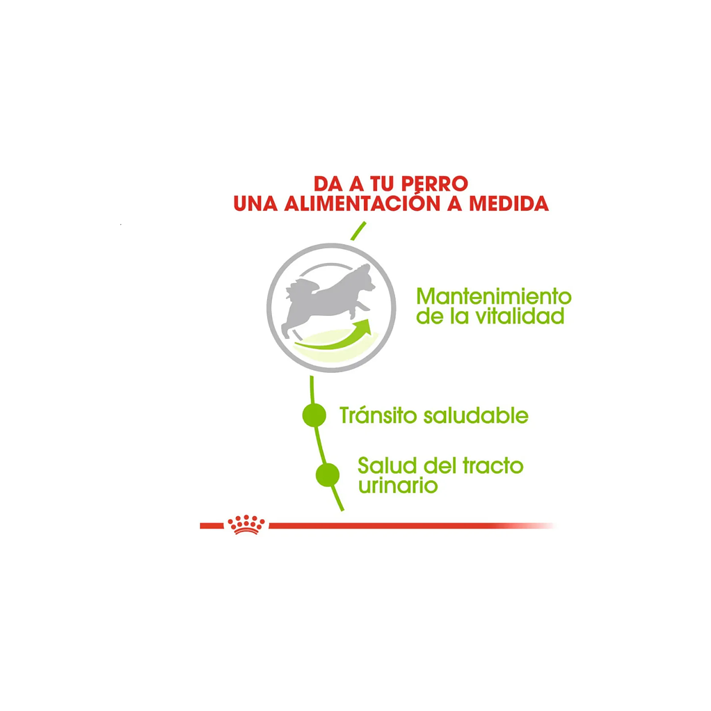  Alimento para Perros Mini Royal Canin X-small Adulto 2.5 Kg  1