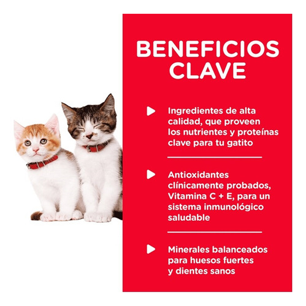 1 Lata de Alimento Hills Gatito-kitten Higado Y Pollo 156gr. 2