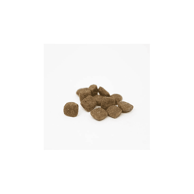 Alimento para Perro Adulto Raza Pequeña 3kg- Summit 10  2