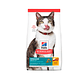  Alimento Hill´s para Gato Senior Mayor a 11 años -1.5 Kg - Miniatura 1