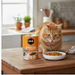 Lata Amity De Pavo Con Vegetales 415gr Para Gatos - Miniatura 2