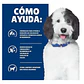 Alimento Hill's Prescription Urinary Care para Perros c/d 7.98kg - Miniatura 2