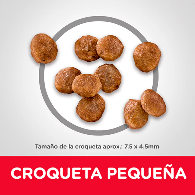Alimento Hill's Para Perro Adulto Raza Pequeña Mini 2kg 2