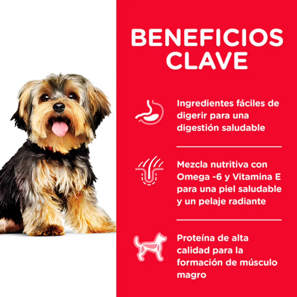Alimento Hill's Para Perro Adulto Raza Pequeña Mini 2kg 5