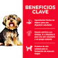Alimento Hill's Para Perro Adulto Raza Pequeña Mini 2kg - Miniatura 5