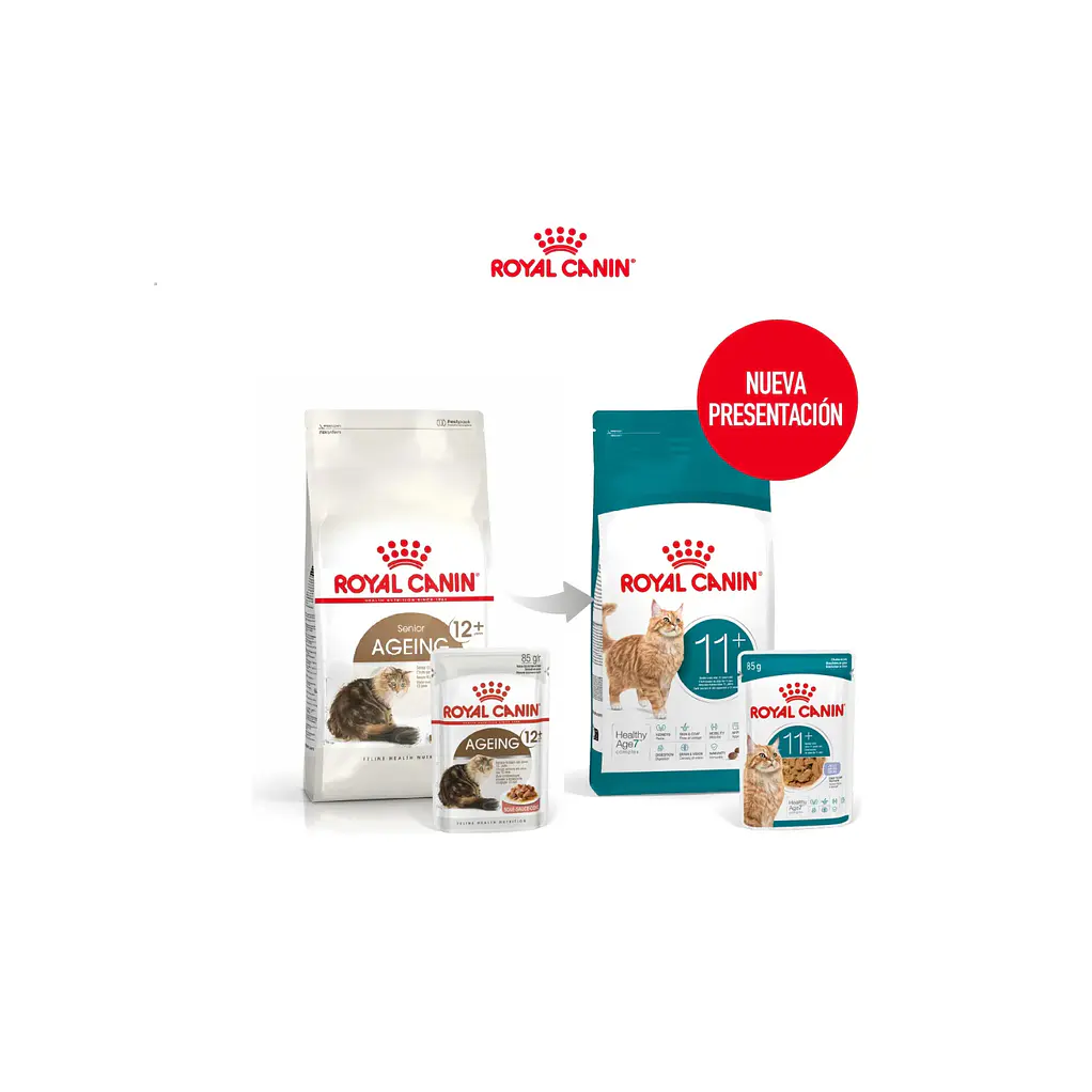 Alimento Para Gato Senior Ageing 11+ Royal Canin 2kg 2