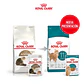 Alimento Para Gato Senior Ageing 11+ Royal Canin 2kg - Miniatura 2
