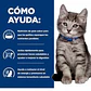 Alimento Digestive Care para Kitten (Gatito) BIOME 1.81kg  - Miniatura 2