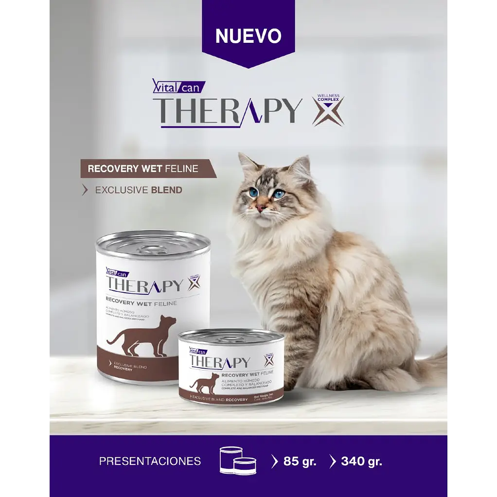 1 Lata Recovery Gatos Adultos 85gr Vitalcan Therapy  3