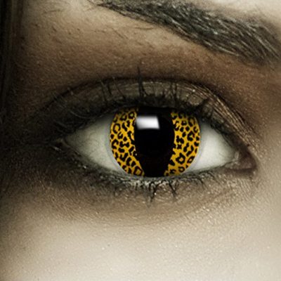 Leopardo PSEYECHE