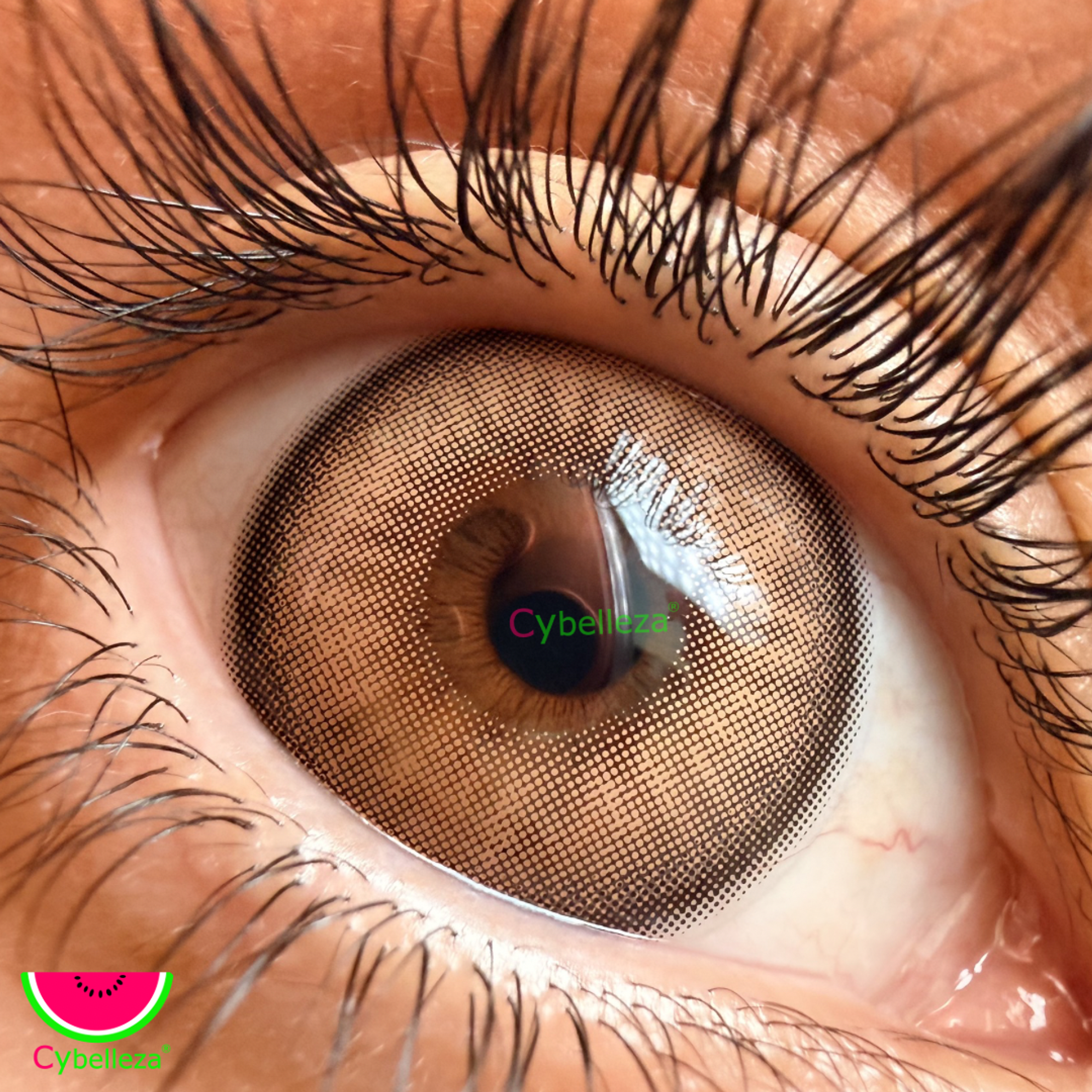 Candy Brown Magister  1