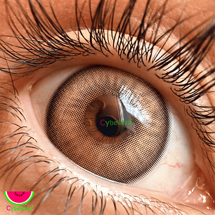 Candy Brown Magister 