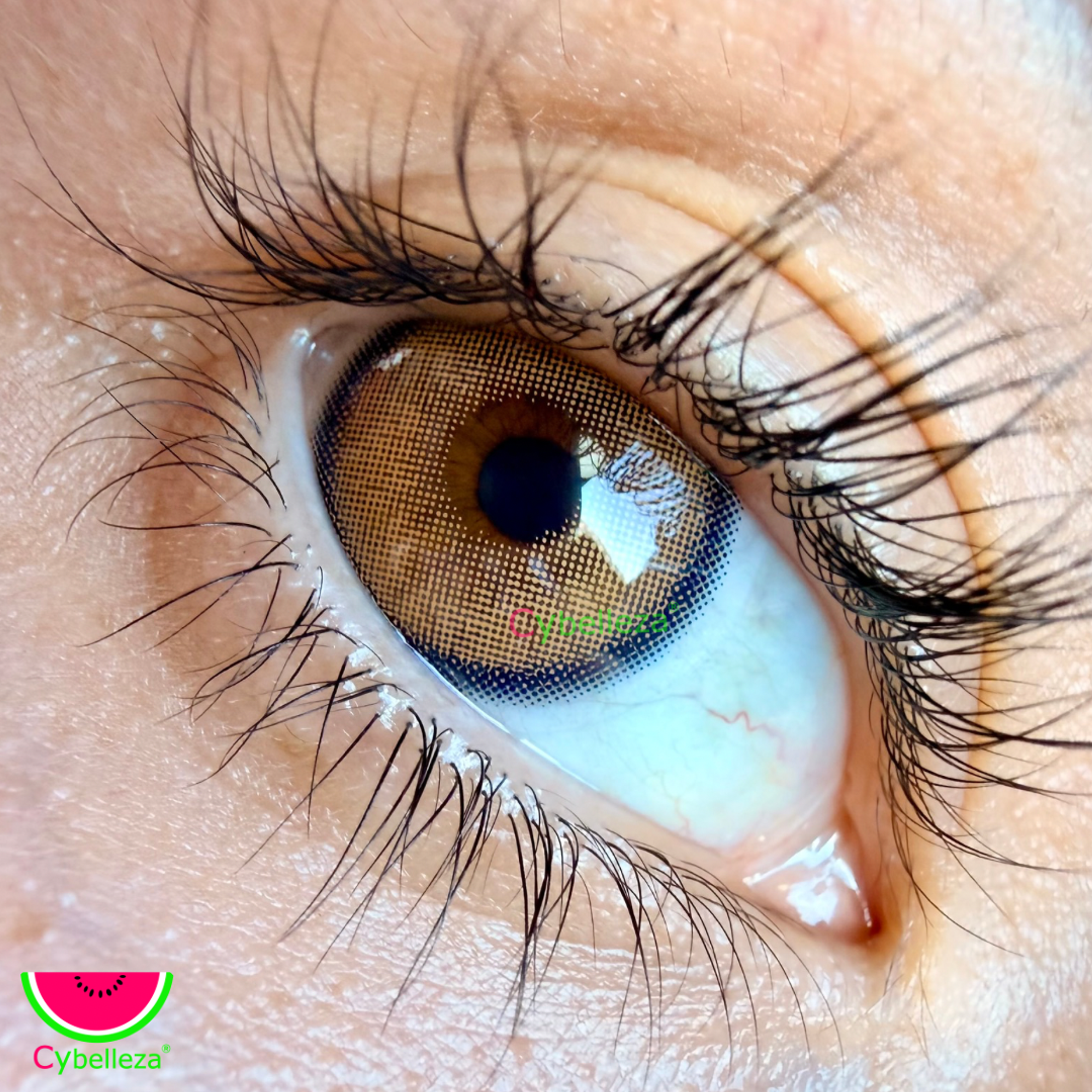 X Brown Cybelleza  1