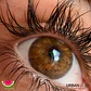 Gemini Hazel Pupila Reducida Urban Layer  - thumbnail 1