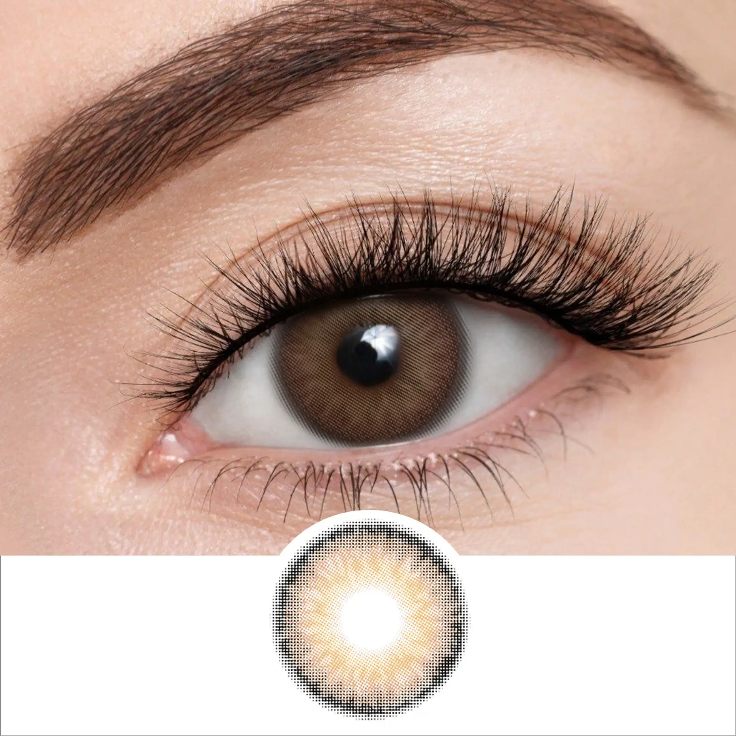 COCOA BROWN FRESHGO 1