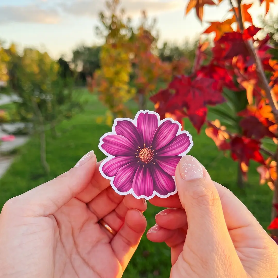 Tarjetas plegables 2