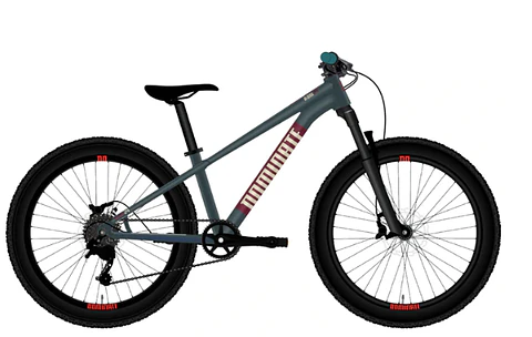 DOMINATE KIDS ARO 24" SHADOW BICE