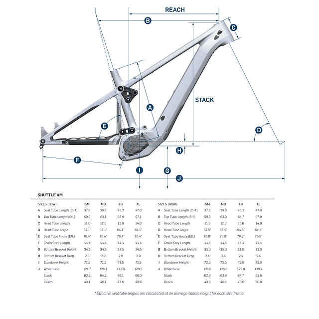 NEW SHUTTLE AM 2024' KIT TEAM XX EAGLE TRANSMISSION