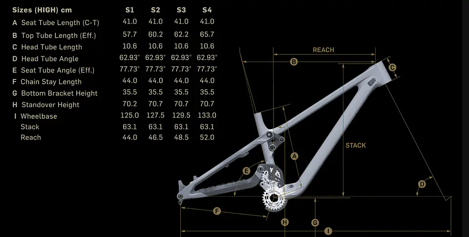 PHOENIX RIDE GX DH BLACK GOLD 3