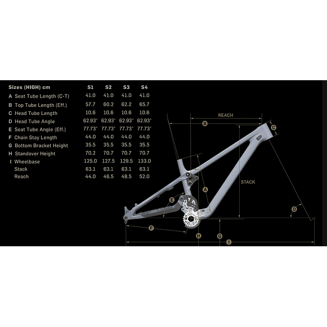 PHOENIX CUADRO BLACK GOLD