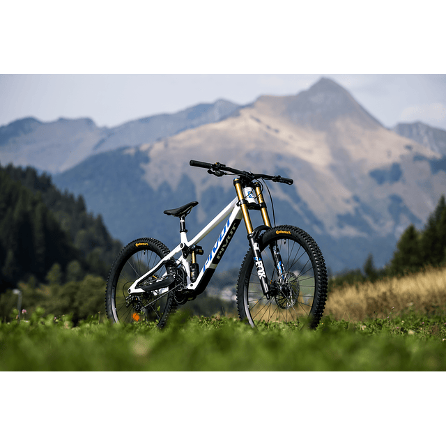 PHOENIX PRO GX White Cobalt Blue